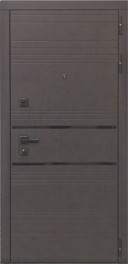 Входная дверь ДвериПРО L-43 Без фрезеровки Дуб арктик горизонт DPRO198244 внешняя сторона